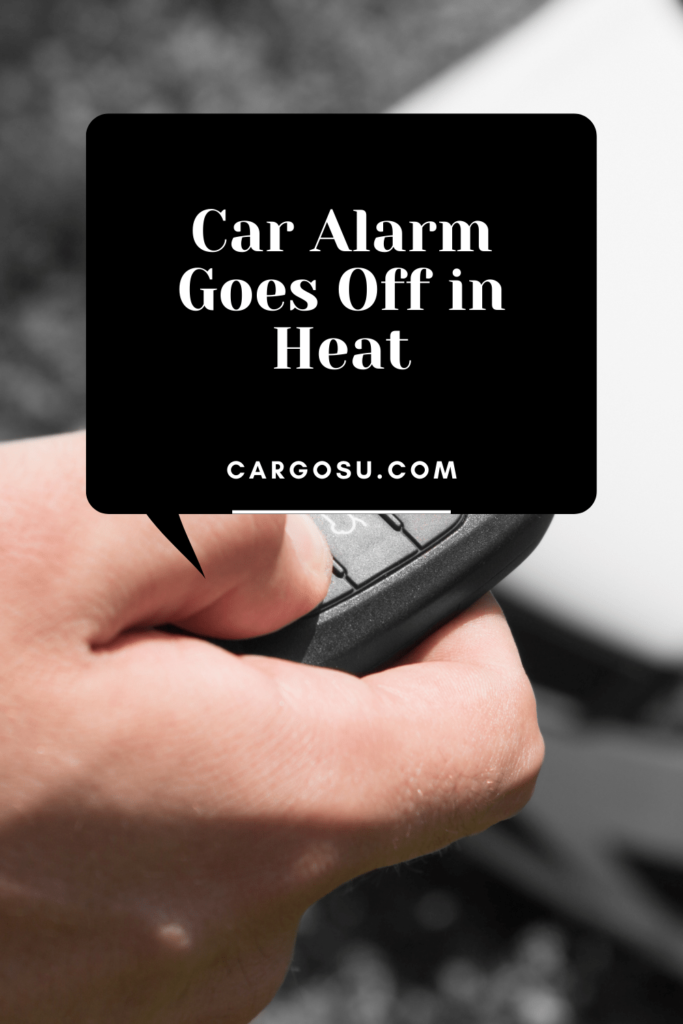 Car Alarm Goes Off in Heat