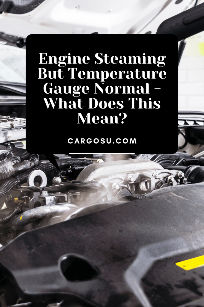 Engine steaming but temperature gauge normal - What does this mean?